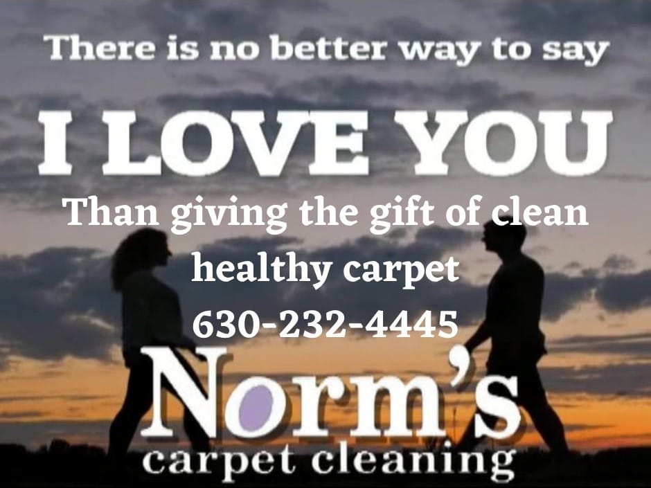 Carpet Cleaning Elburn