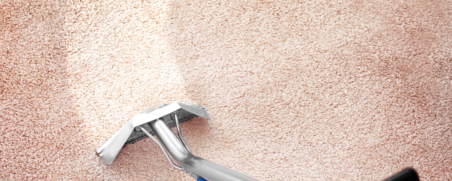 Batavia Carpet Cleaning