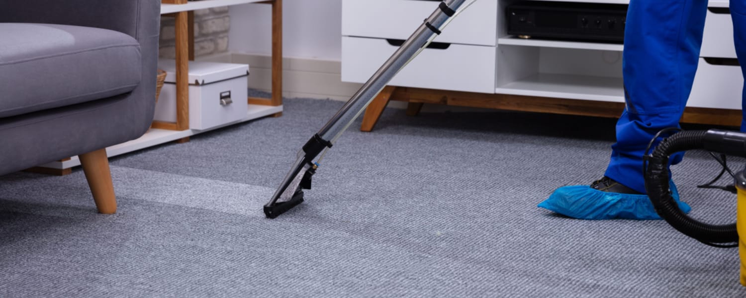 Carpet Cleaning Kane County IL