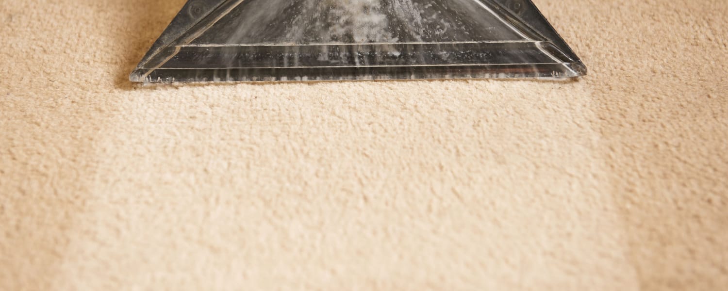 Kane County Carpet Cleaning