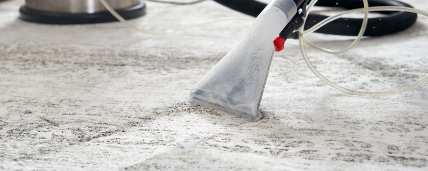 Rug Cleaning Near Me Kane County IL