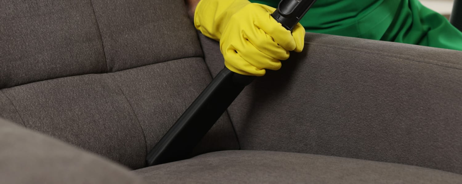 Upholstery Cleaning Elgin IL