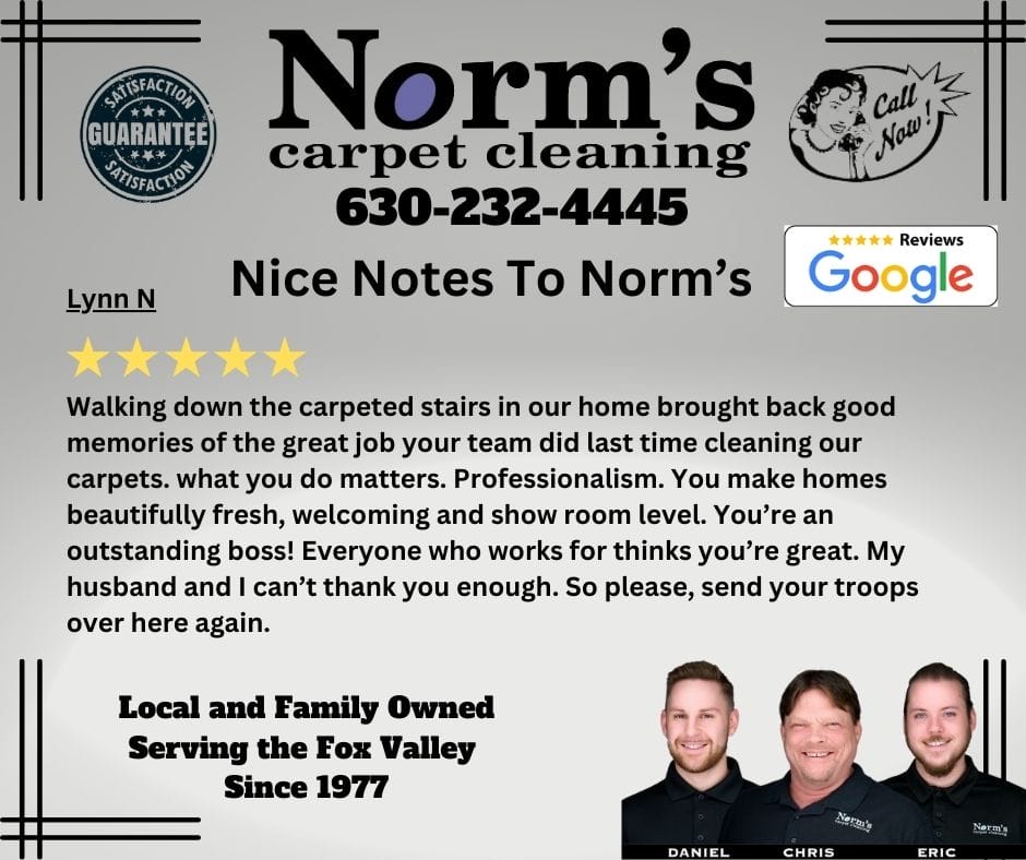 Carpet Cleaning Near Me Review